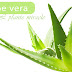 L'aloe vera: la plante miracle -1-