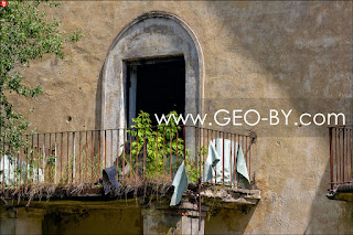 The trees grew on the balcony of an abandoned house