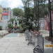 View album