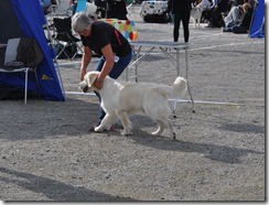 DSC_0046