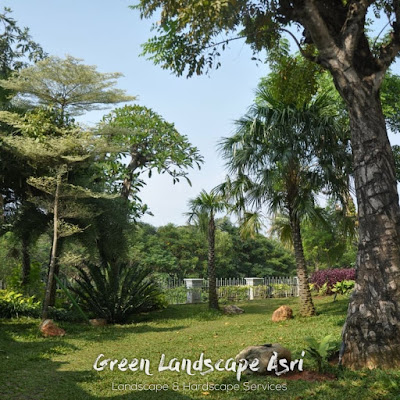 Taman Minimalis Unik 8 Ide Untuk Rumah Terbaru 2022