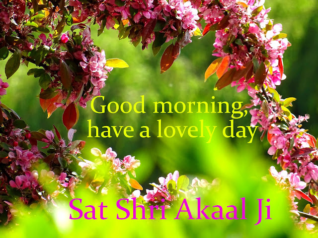 Sat Shri Akaal Ji  Good Morning.