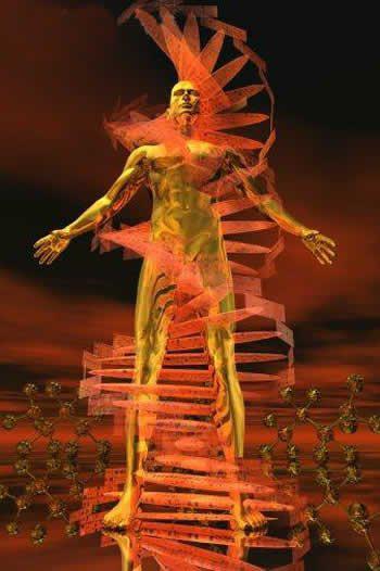 Los Aliados de la Humanidad (4ª Parte)