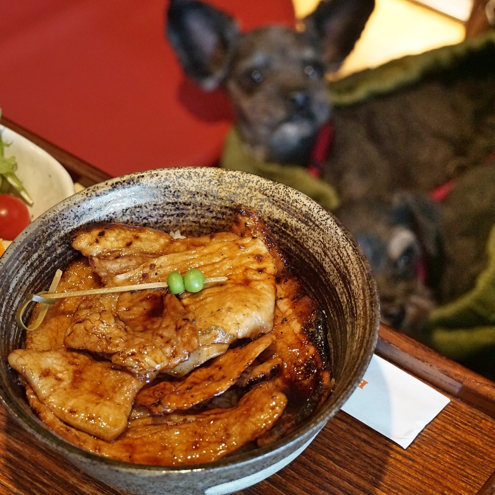 Travel With Small Dogs ちびわんと旅しよう ブタリアンレストラン 屋内ペット同伴可能な東京都世田谷区の豚料理専門店