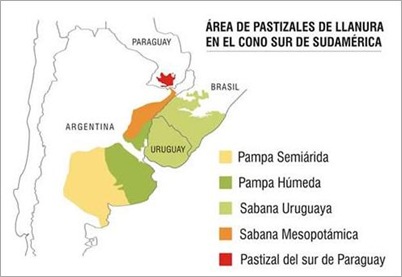 MAPA DO BIOMA PAMPA