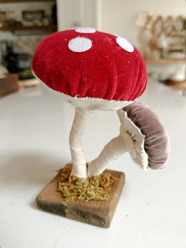 red velvet mushrooms with spots