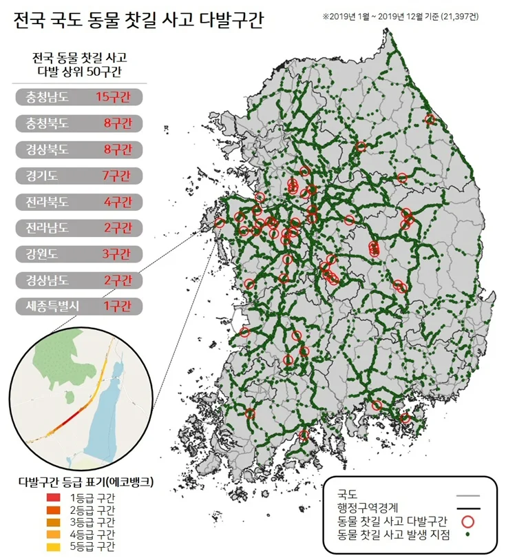 ▲ 동물 찻길 사고 다발 구간 현황