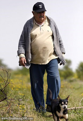 Tổng Thống Jose Mujica và chú chó Manuela mà ông rất yêu quý