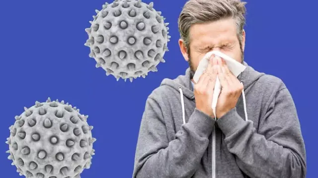 Allergie aux aéroallergènes