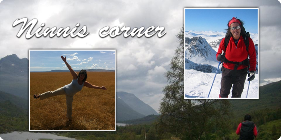 Ninnis Corner