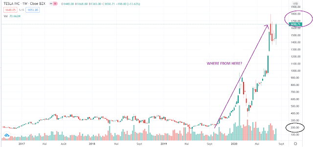 TESLA bubble