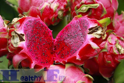 Red Dragon Fruit Benefits For Body Health