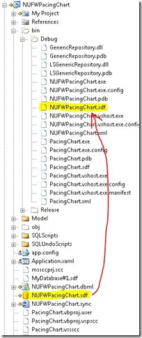 Copy Output Directory
