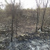 Denuncian quema indiscriminada en zona boscosa de Boruco