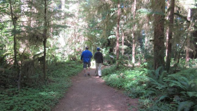 Olympic mnational park, national park, park, olympic, waterfalls, hiking, forest