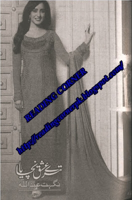 Tery ishq nachaya by Nighat Abdullah part 2 pdf.