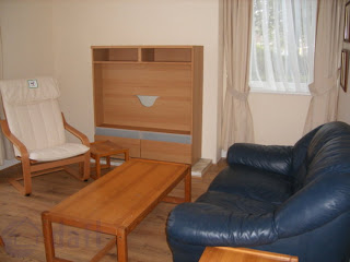 The living room in an apartment in Dublin, Ireland