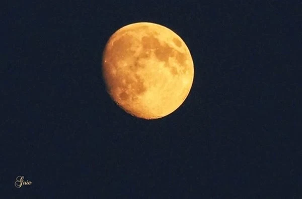 GALERI: Indahnya Bulan di International Observe the Moon Night