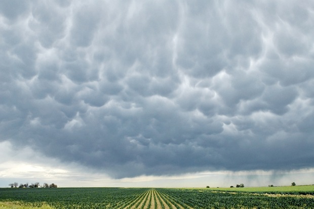 Green-field-under-the-clouds