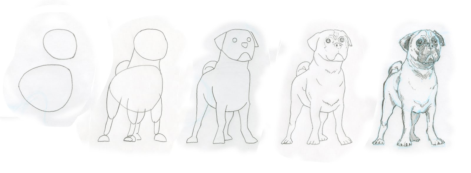 From the desk of Joel Vollmer: "How to draw a Pug" sample.