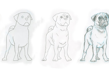 how to draw a pug Dragoart pugs carlino lessons dogsworld