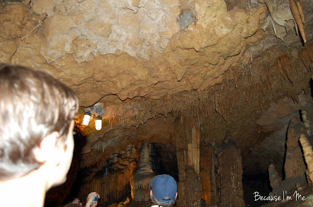 Florida Caverns State Park, Florida