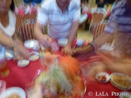 P1030581