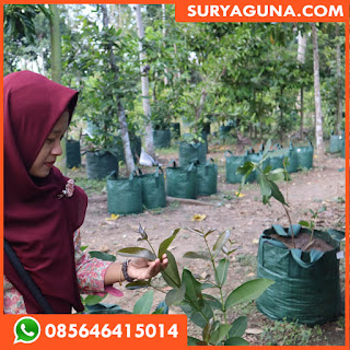 Jual Planter Bag 100 Liter Planter Bag Durian