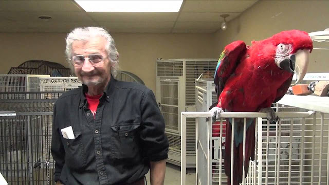 Rescued Birds