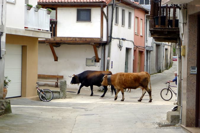 pasto-bici-laza