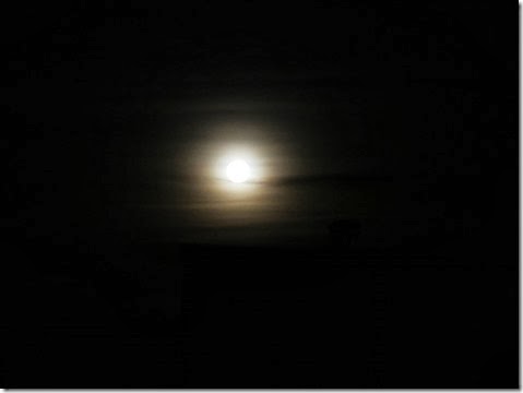 IMG_0326