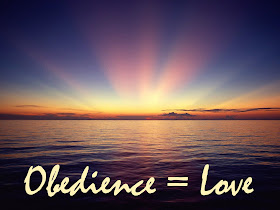 Ever consider the connection between obedience and love?  Thoughts at DTTB.