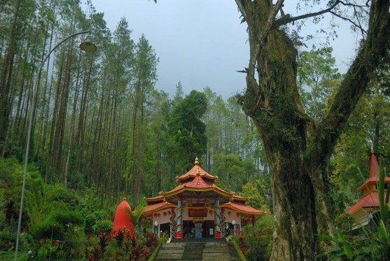 Syarat Mudah Praktik Ritual Pesugihan Pohon Dewandaru Gunung Kawi Agar Bebas Hutang Tanpa Ritual