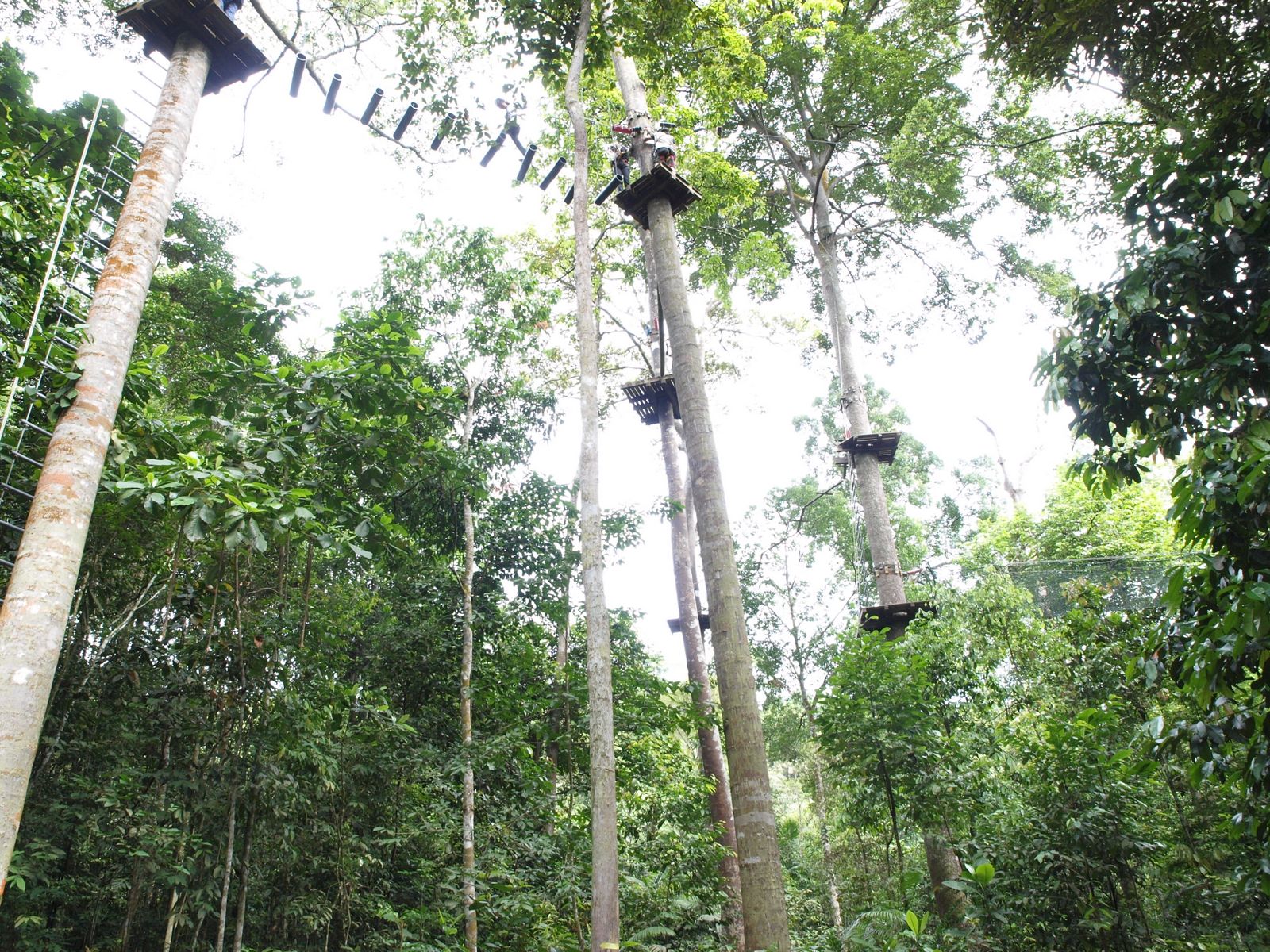 Skytrex Shah Alam Taman Botani - Contohlah f