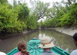 Sunderbans , Mangrove forest, holiday bangladesh ,tour travel to dhaka 