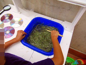 Niño removiendo agua y césped en una cocinita de exterior