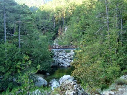 Passerelle