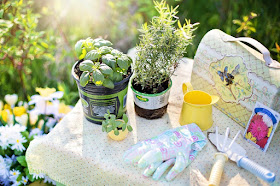 potted herbs with garden tools