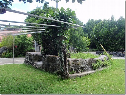 P5220089