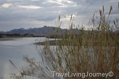 Colorado River