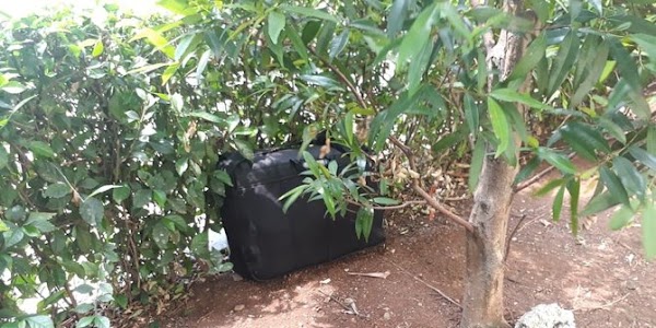 Tas selempang hitam tak bertuan gegerkan Kampus UIN