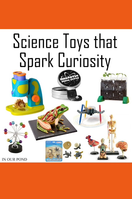 Science Toys for Kids that Spark Curiosity about the world around them // In Our Pond // 