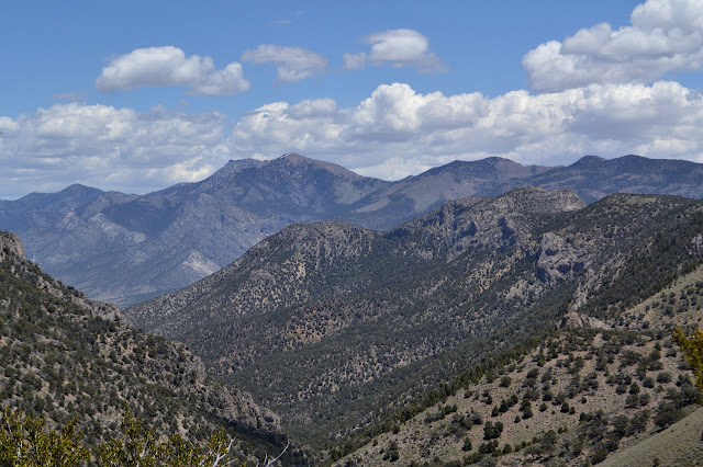 Grant Range