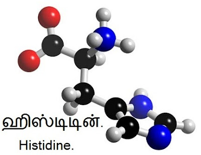 Histidine