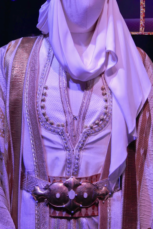 Aladdin Prince Ali costume detail