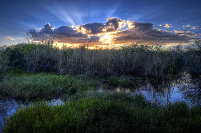 Everglades National Park