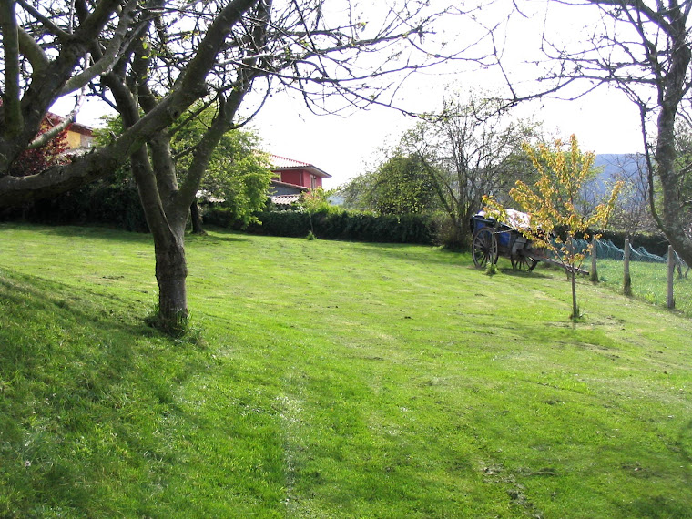 Vista lateral de la finca