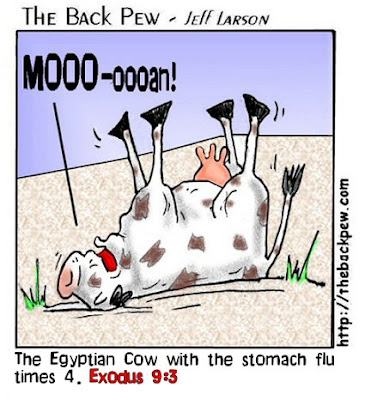 common cold cartoon. Thecure for the withhe cites Experiment cartoon links to the