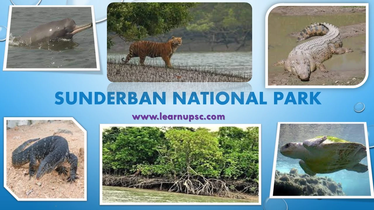 Sunderban National Park