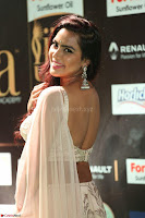 Prajna in Cream Choli transparent Saree Amazing Spicy Pics ~  Exclusive 063.JPG